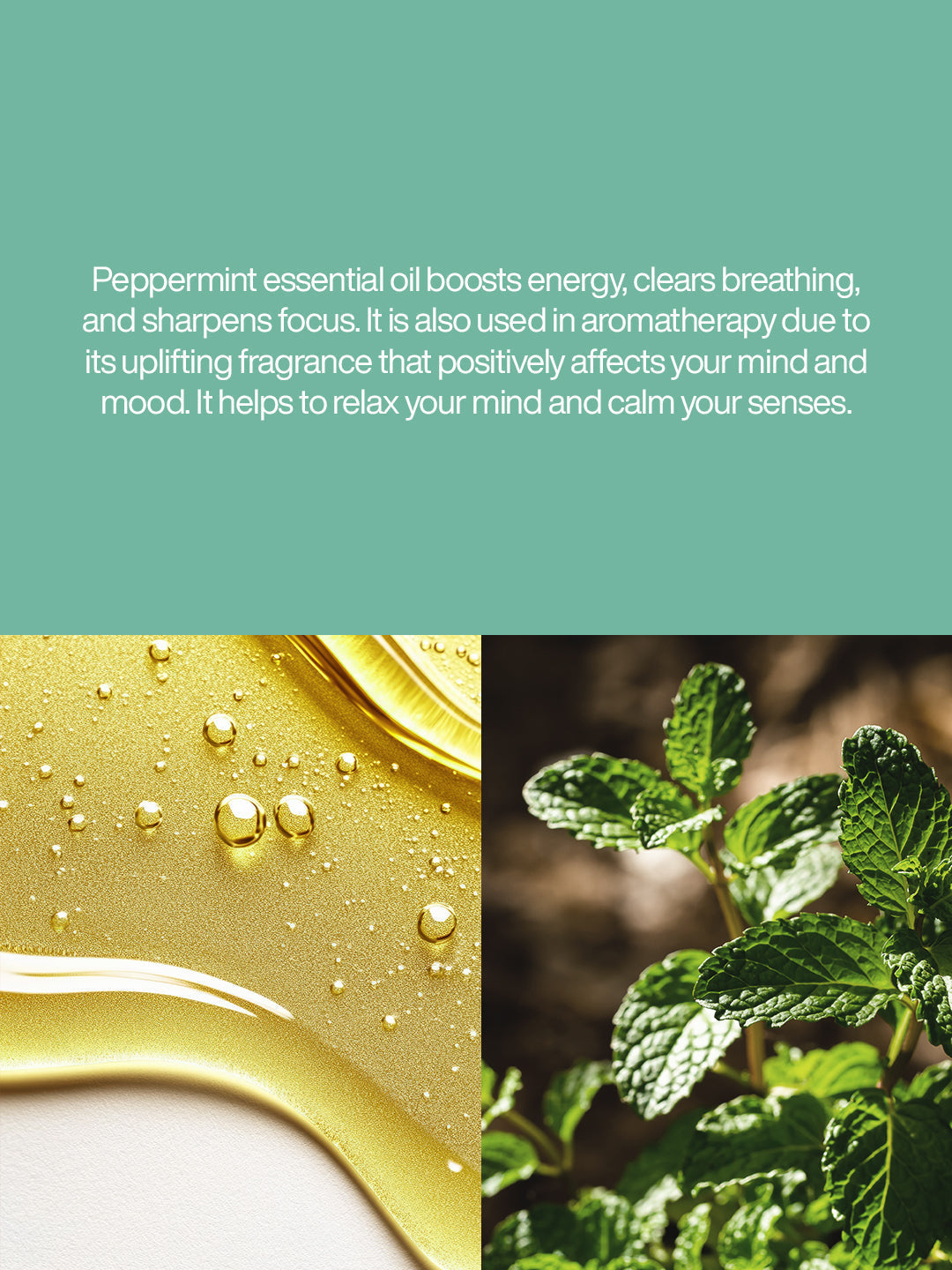 Peppermint Oil - 1000ml