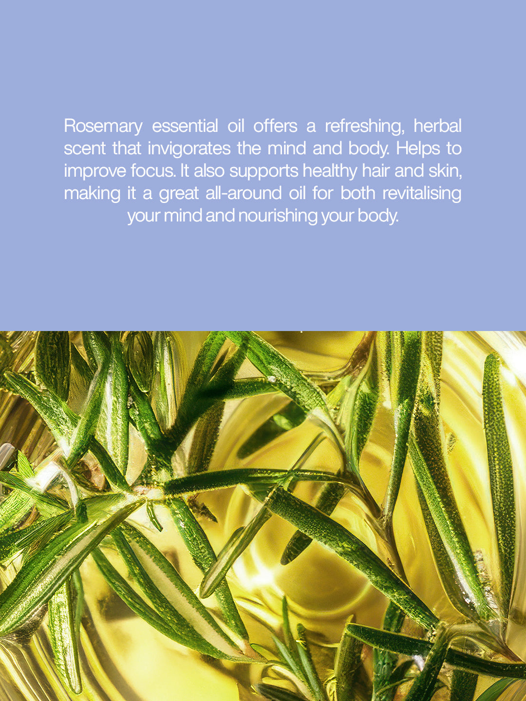 Rosemary Oil - 1000ml