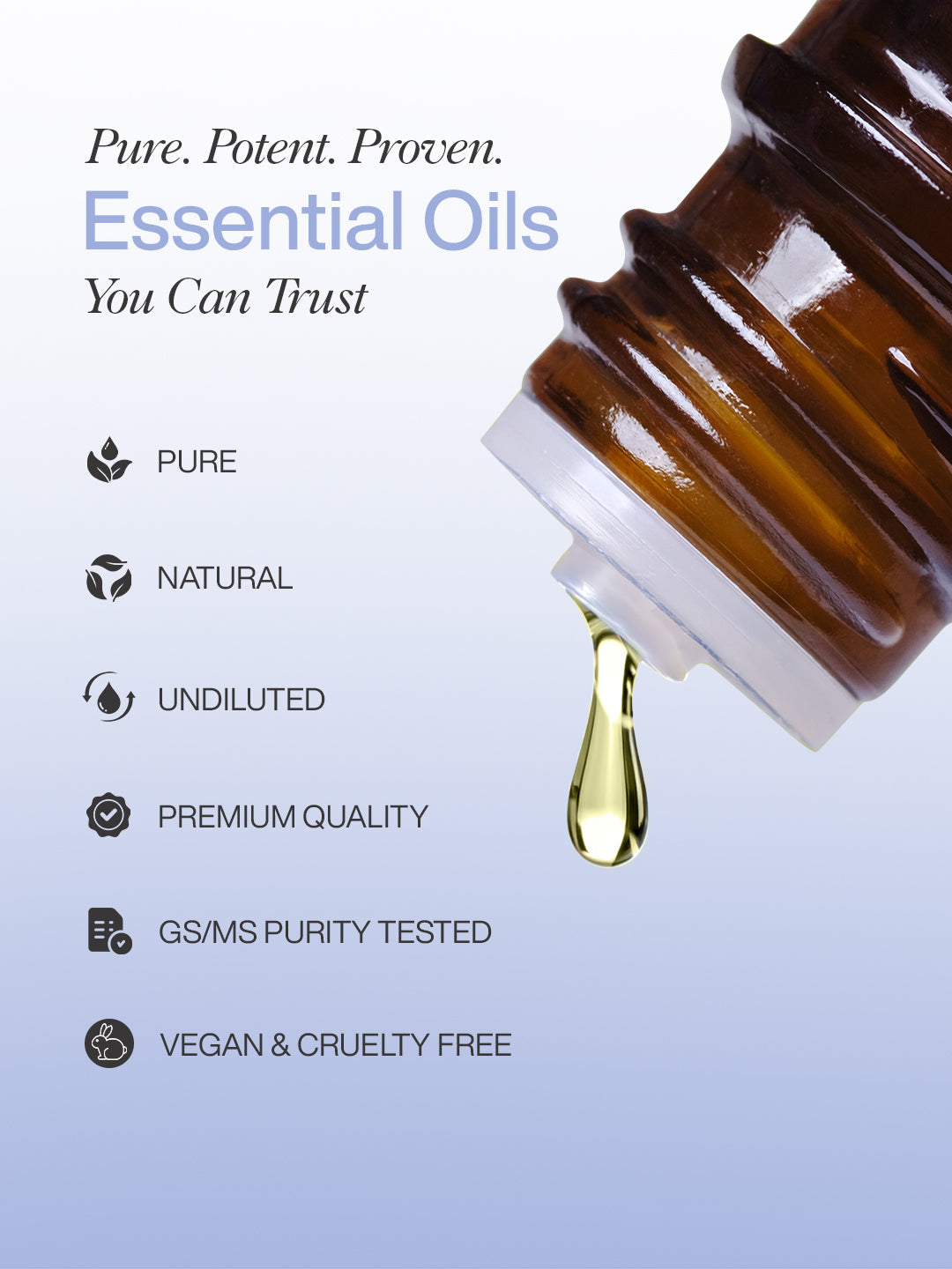 Rosemary Oil - 1000ml