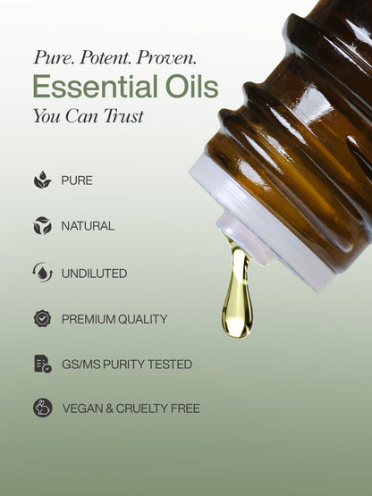 Tea Tree Oil - 1000ml